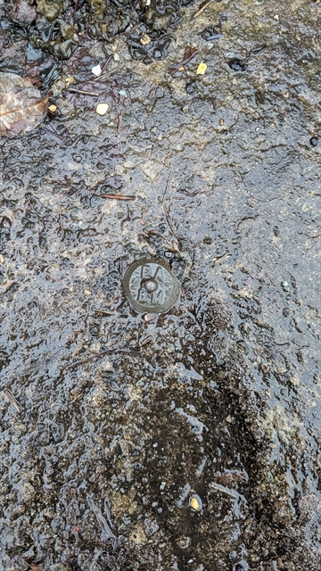 Environment Agency on 